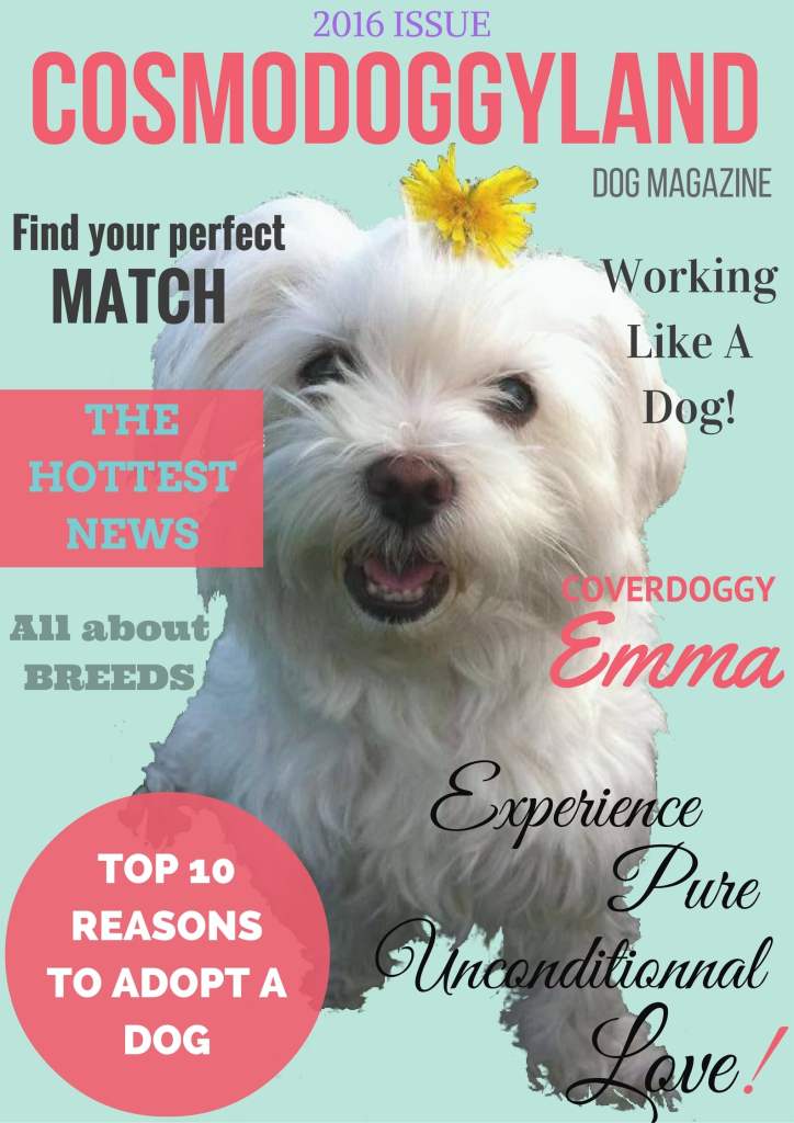 Cosmodoggyland Dog Magazine English Media Cover Top pet marketing agency associated dog media, an English articles online publisher and platform for pet lovers worldwide