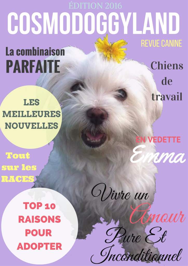 Cosmodoggyland Dog Magazine French Media Cover Pet marketing agency with dog media, a French articles online publisher for pet parents, pet brands, pet pros and petpreneurs