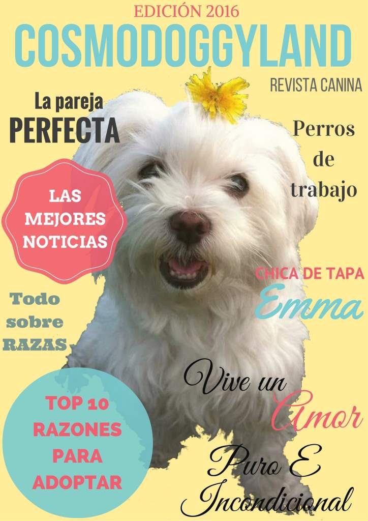 Cosmodoggyland Dog Magazine Spanish Media Cover Best pet marketing agency with dog magazine, a Spanish articles online publishing platform and pet international community