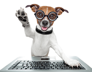 Pet Marketing Turnkey Website Templates Pet marketing turnkey website template demo promo feature in dog magazine Cosmodoggyland for brand exposure to pet parents